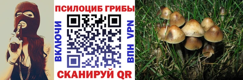 даркнет наркотические препараты Ардон Псилоцибиновые грибы GOLDEN TEACHER